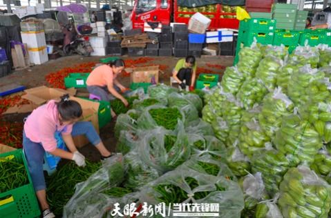 农产品批发市场 稳价保供，助力菜篮子丰盈