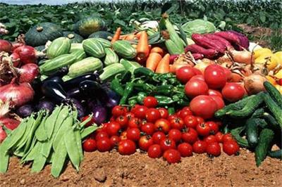 庆庆食品 深耕绿色沃土，匠心打造优质农产品种植体系