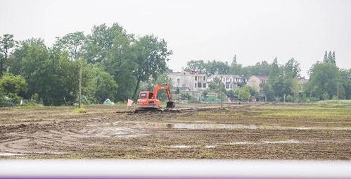 方正赴贵池区调研 扎实抓好春耕备耕，做强特色农产品种植养殖产业