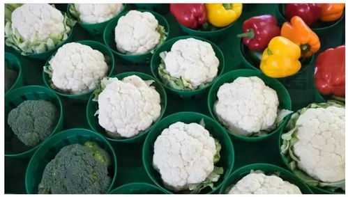 加拿大卫生部宣布召回多种农产品 关注农产品种植安全