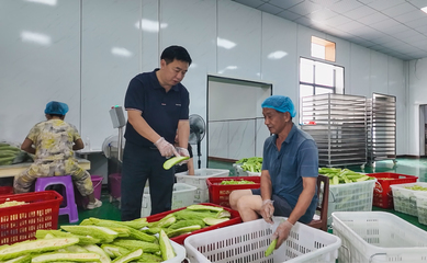 叶伟峰 返乡新农人让农产品走出大山